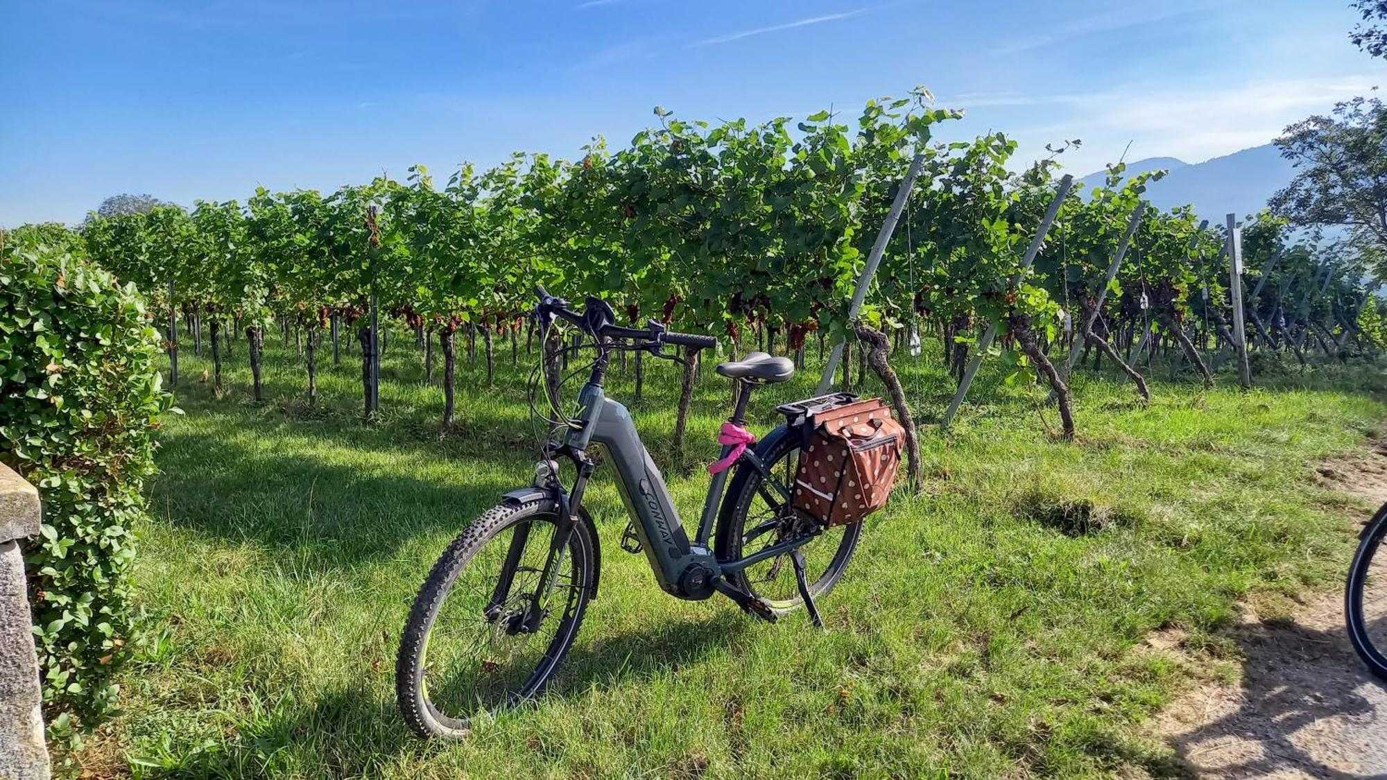 Ferienhof Metzler Bodnegg Esterno foto