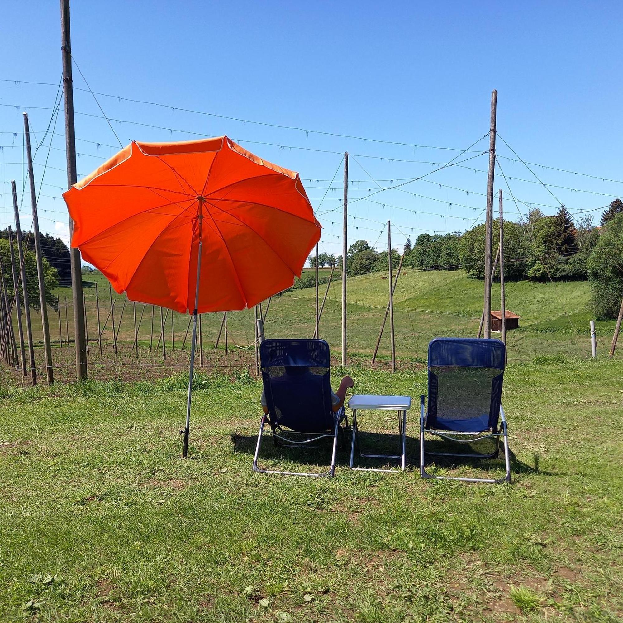Ferienhof Metzler Bodnegg Esterno foto